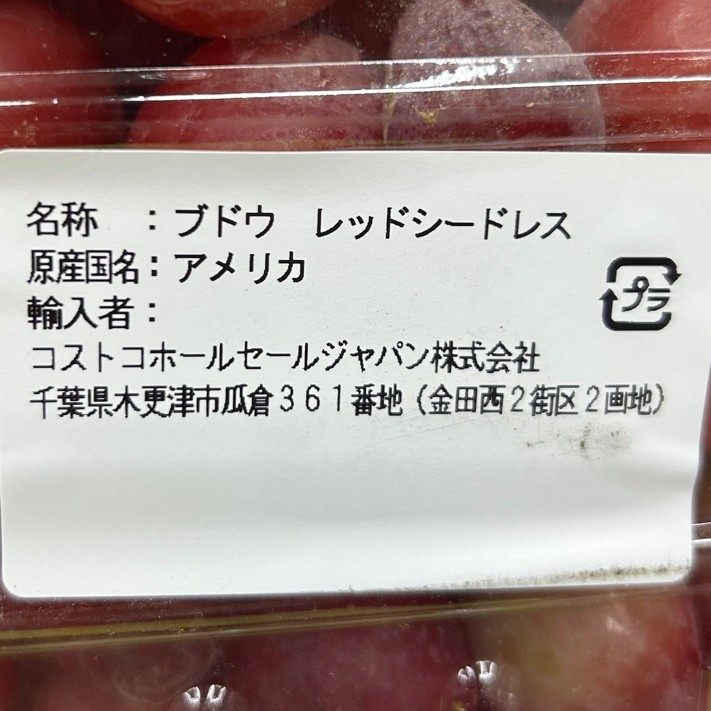 ブドウ レッドシードレス